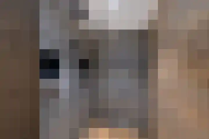 Andrieserf 16 Schoonebeek thumbnail 4