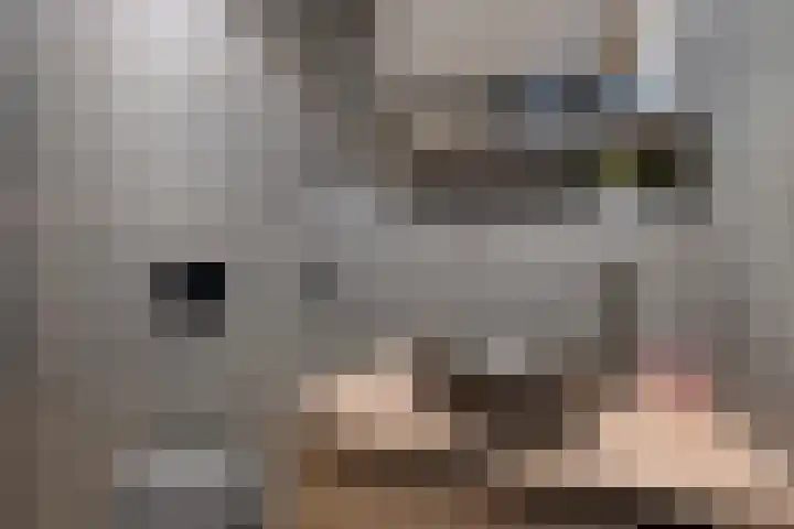 Andrieserf 16 Schoonebeek thumbnail 40