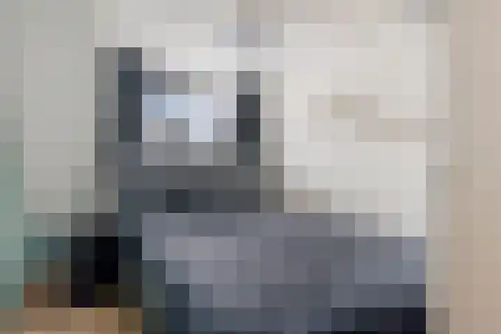 Andrieserf 16 Schoonebeek thumbnail 41