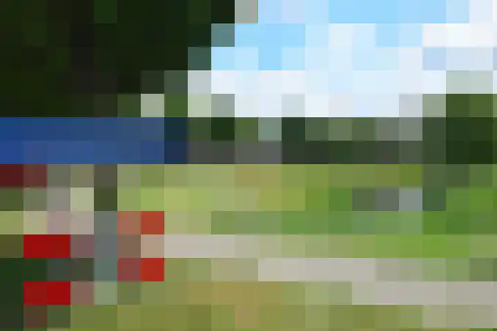 Andrieserf 16 Schoonebeek thumbnail 48