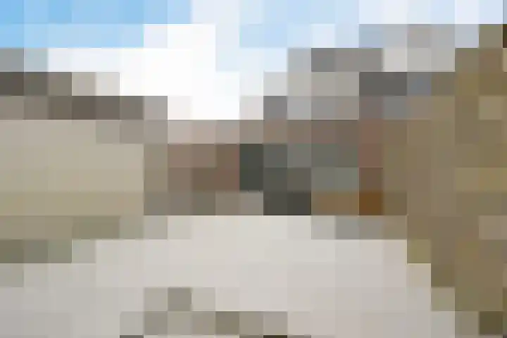 Andrieserf 16 Schoonebeek thumbnail 9