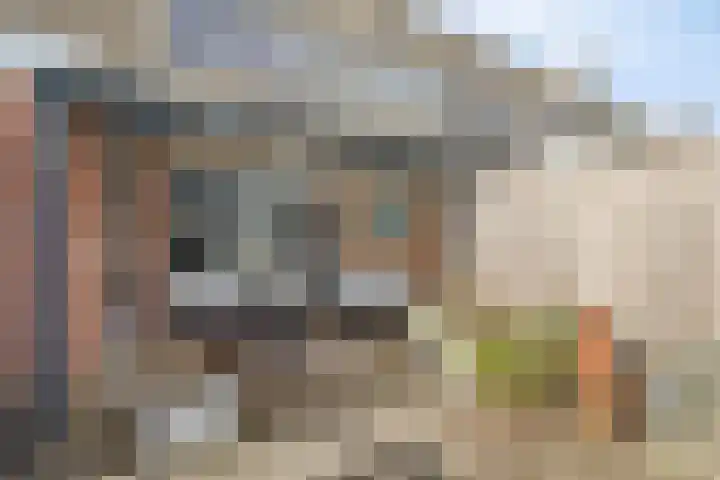 Andriesgulden 10 Dronten thumbnail 31
