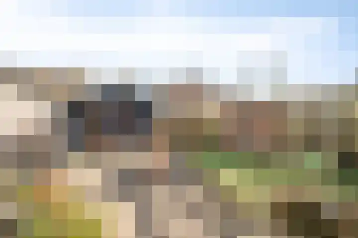 Andriesgulden 10 Dronten thumbnail 33