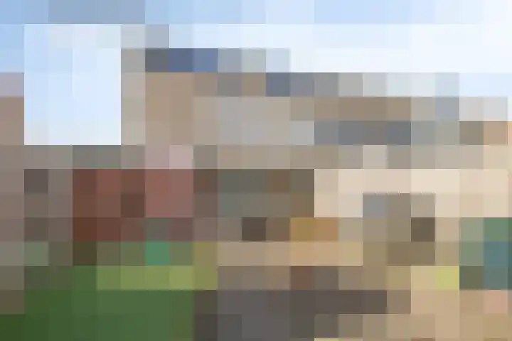 Andriesgulden 10 Dronten thumbnail 34