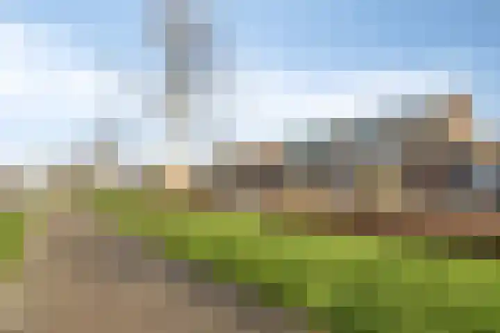 Andriesgulden 10 Dronten thumbnail 6