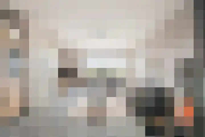 Andriesgulden 10 Dronten thumbnail 9