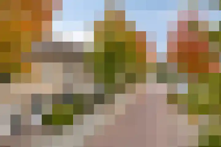 Andriesplein 10 Nuenen thumbnail 29