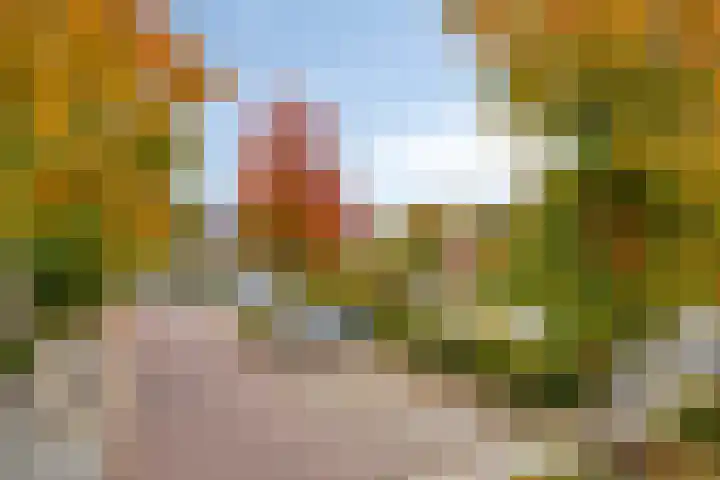 Andriesplein 10 Nuenen thumbnail 31
