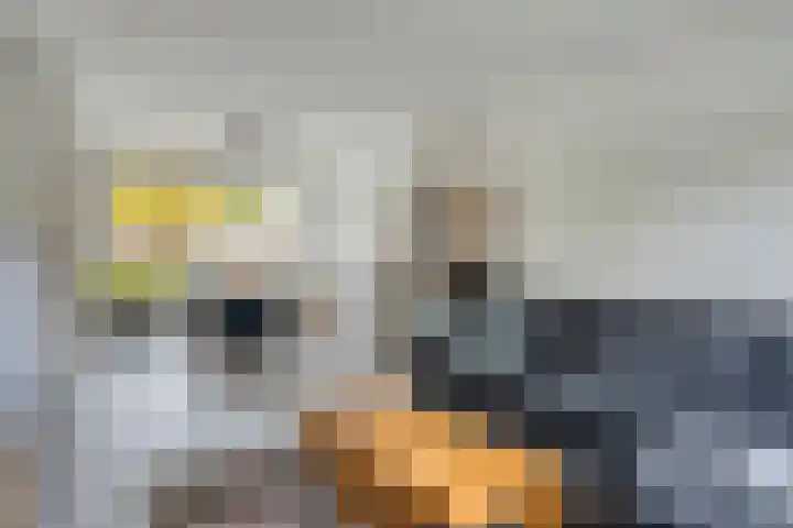 Andriesplein 10 Nuenen thumbnail 8