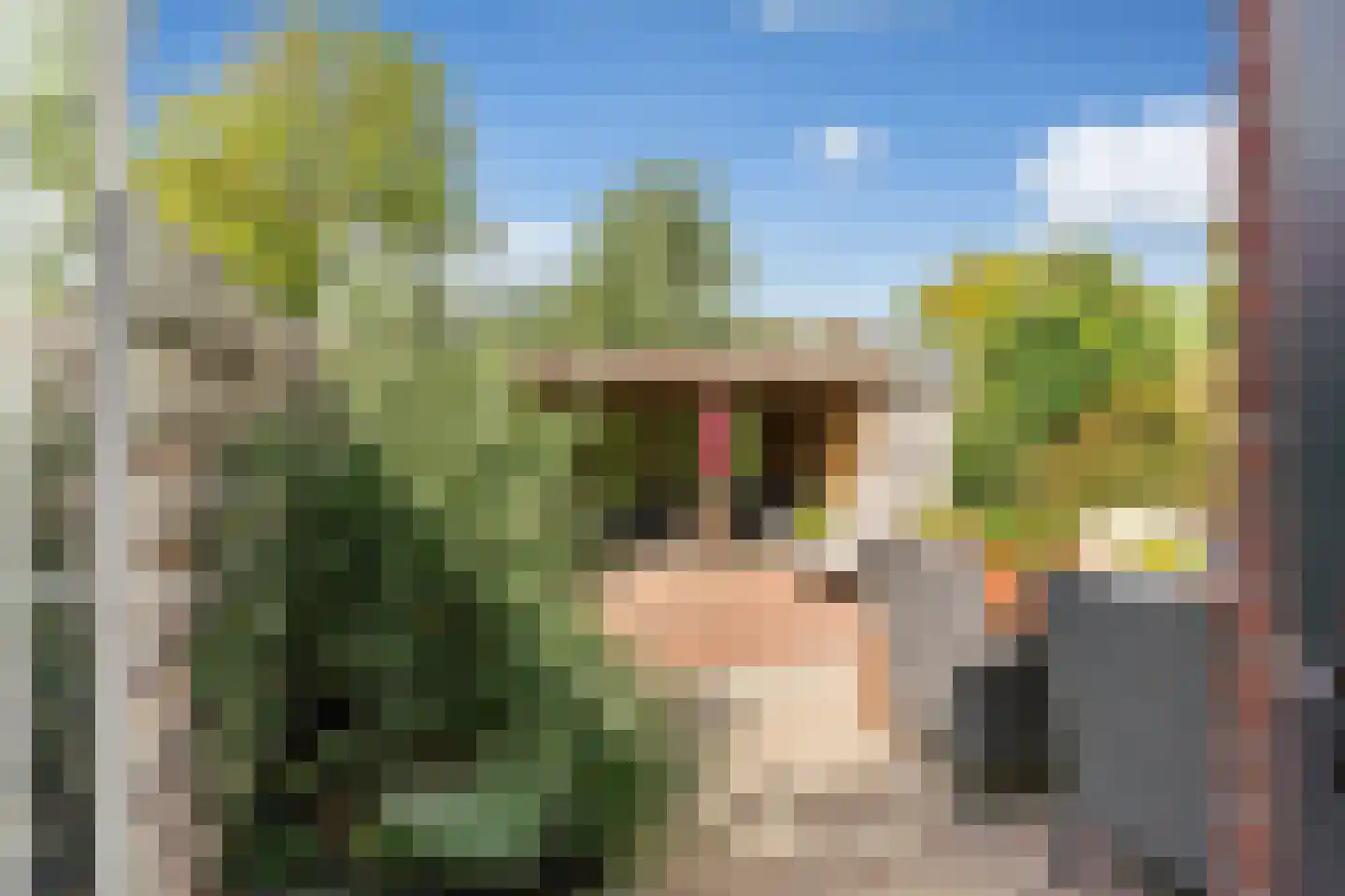 Andriessenlaan 30 's-Gravenzande thumbnail 18