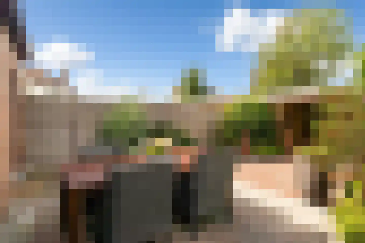 Andriessenlaan 30 's-Gravenzande thumbnail 19