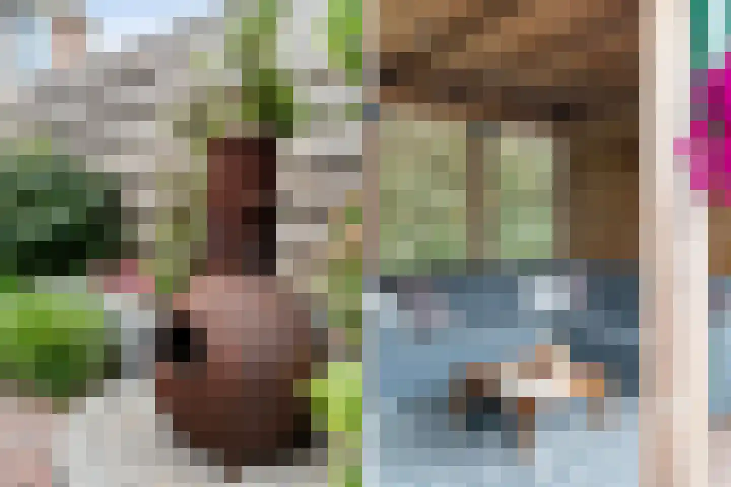Andriessenlaan 30 's-Gravenzande thumbnail 24