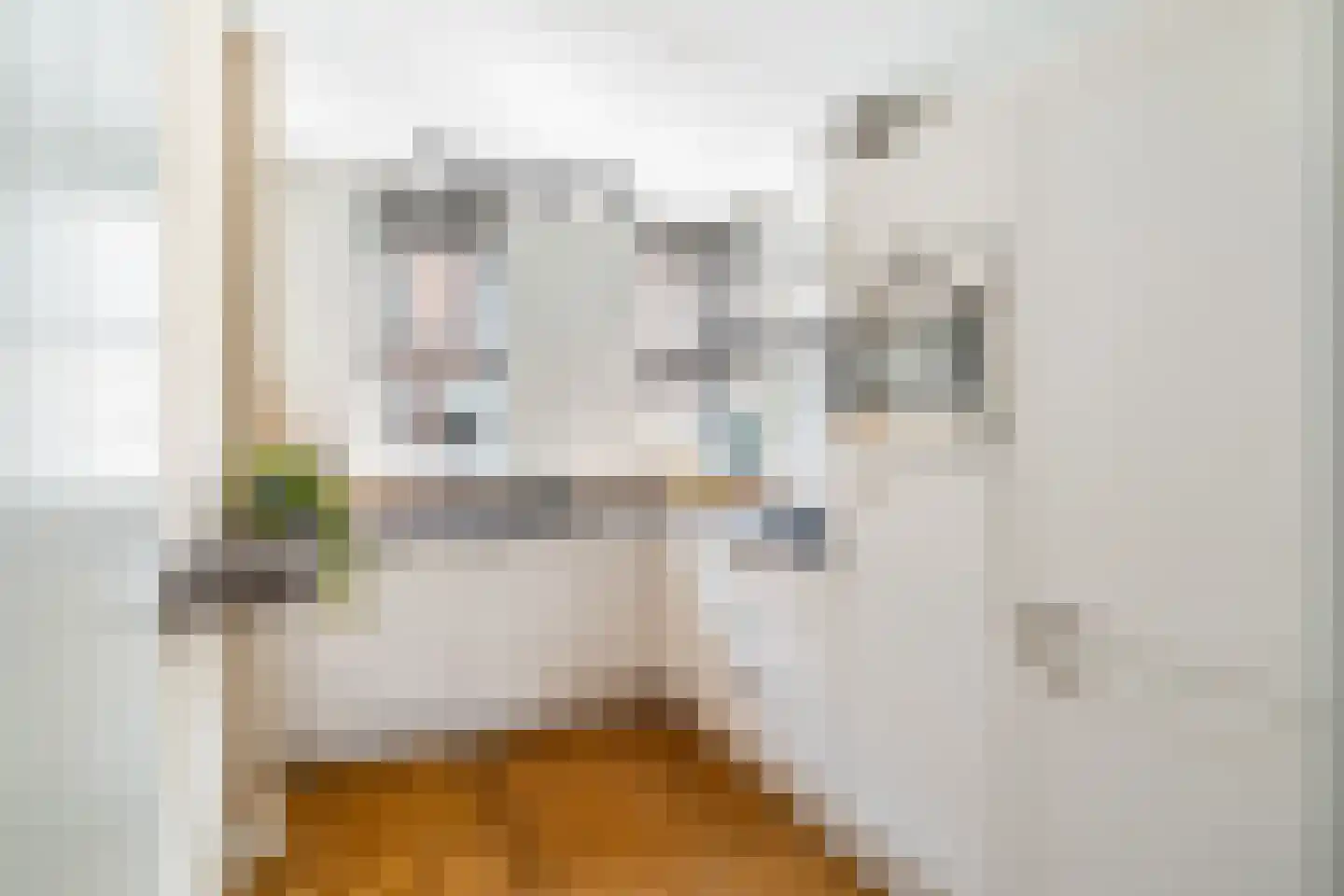 Andriessenlaan 30 's-Gravenzande thumbnail 4