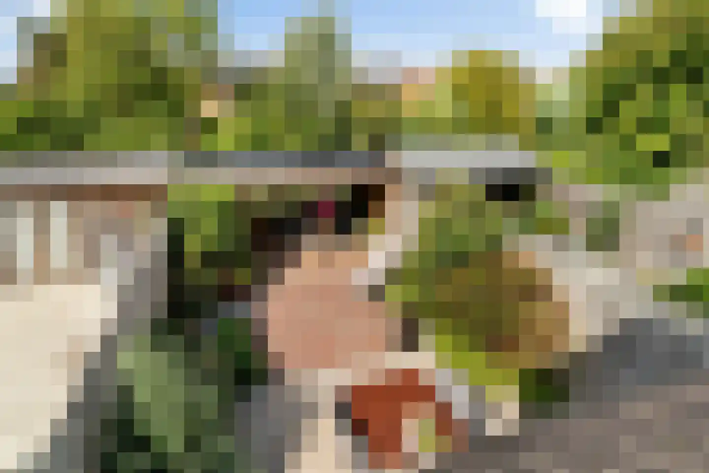 Andriessenlaan 30 's-Gravenzande thumbnail 5