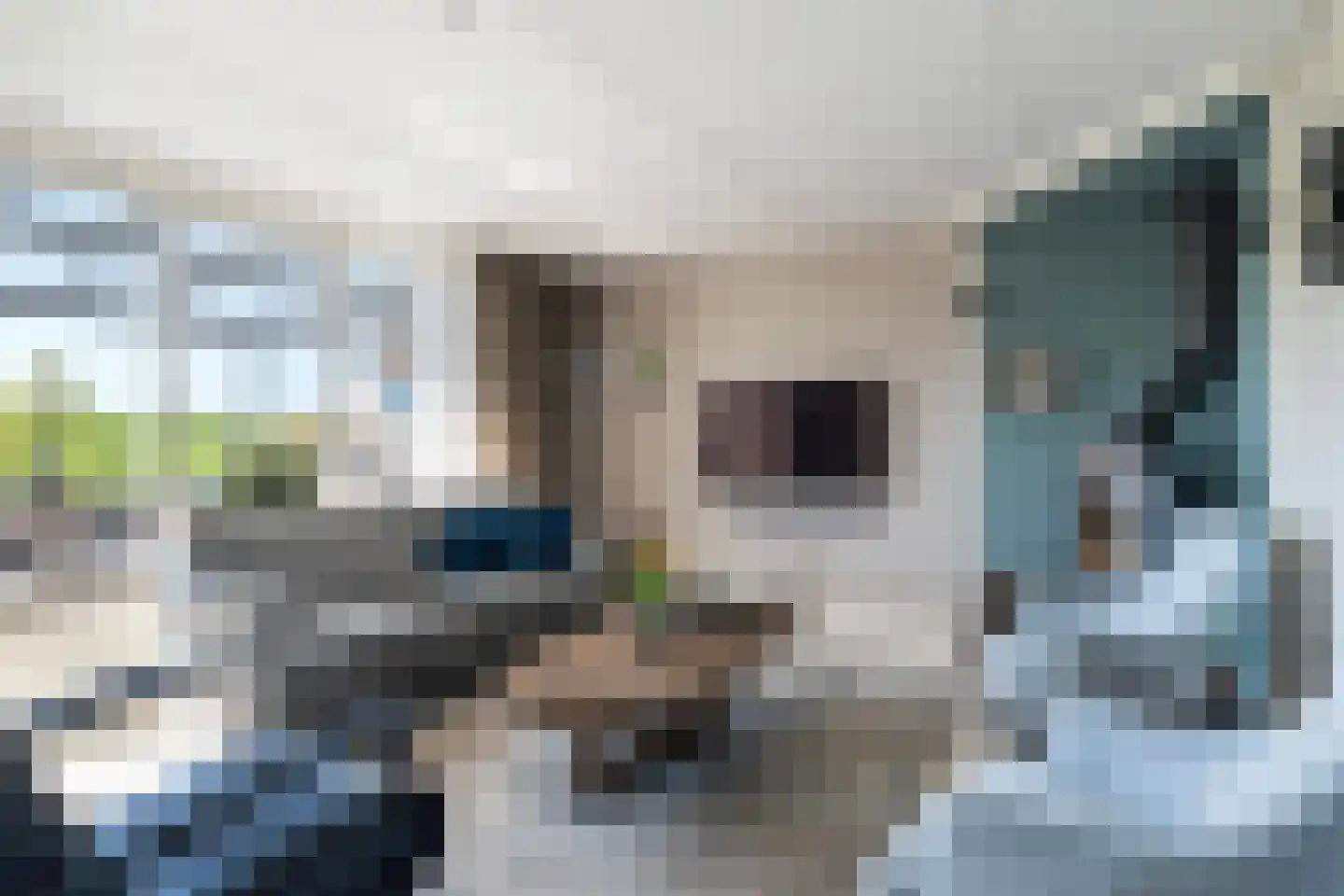 Andriessenlaan 40 's-Gravenzande thumbnail 13
