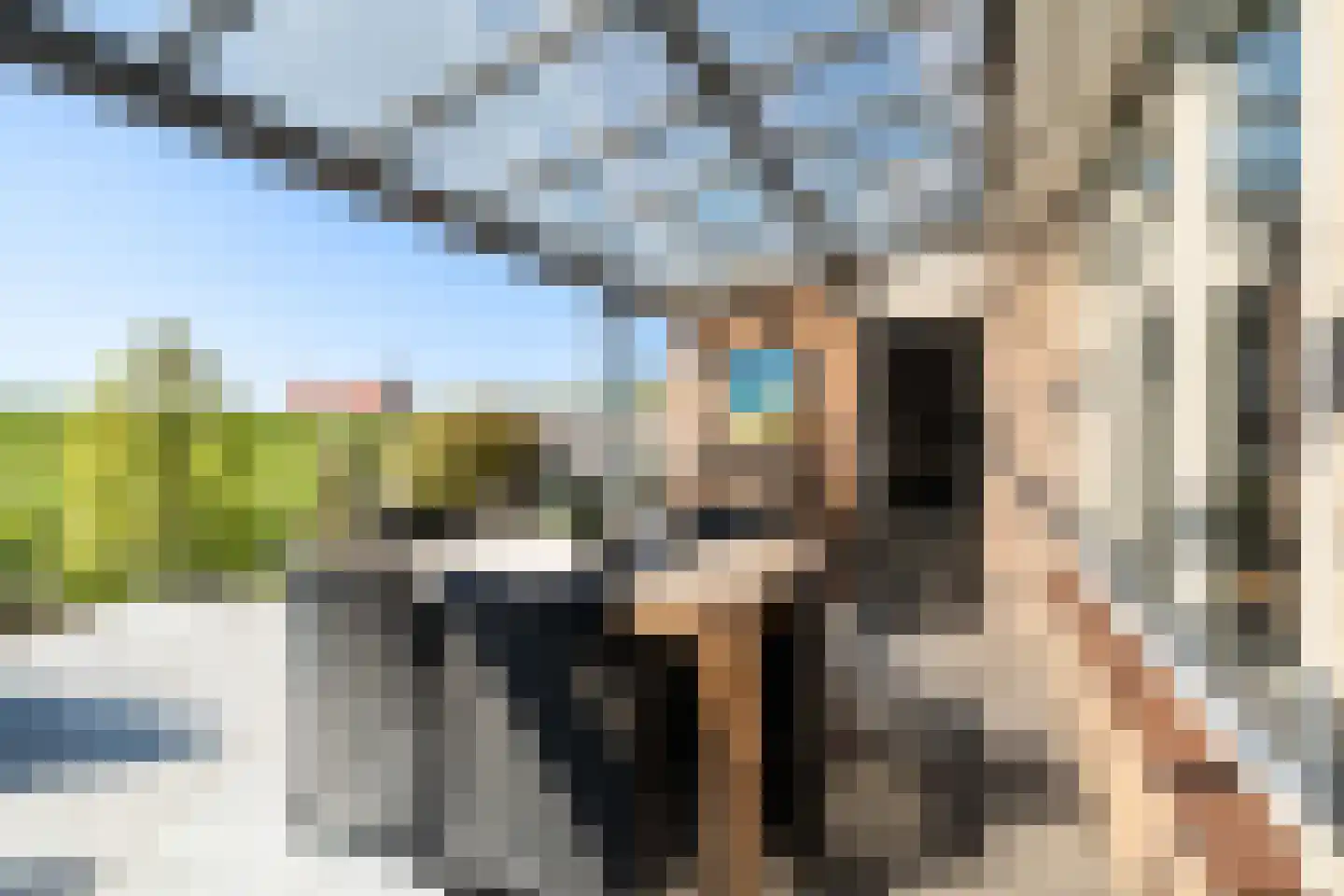 Andriessenlaan 40 's-Gravenzande thumbnail 27