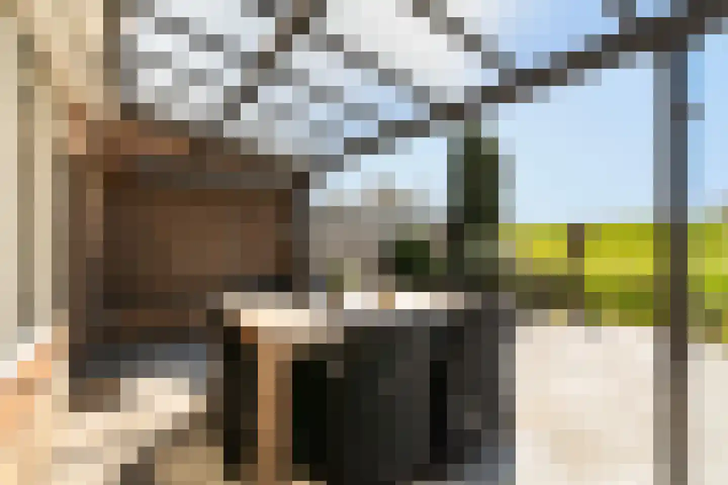 Andriessenlaan 40 's-Gravenzande thumbnail 29