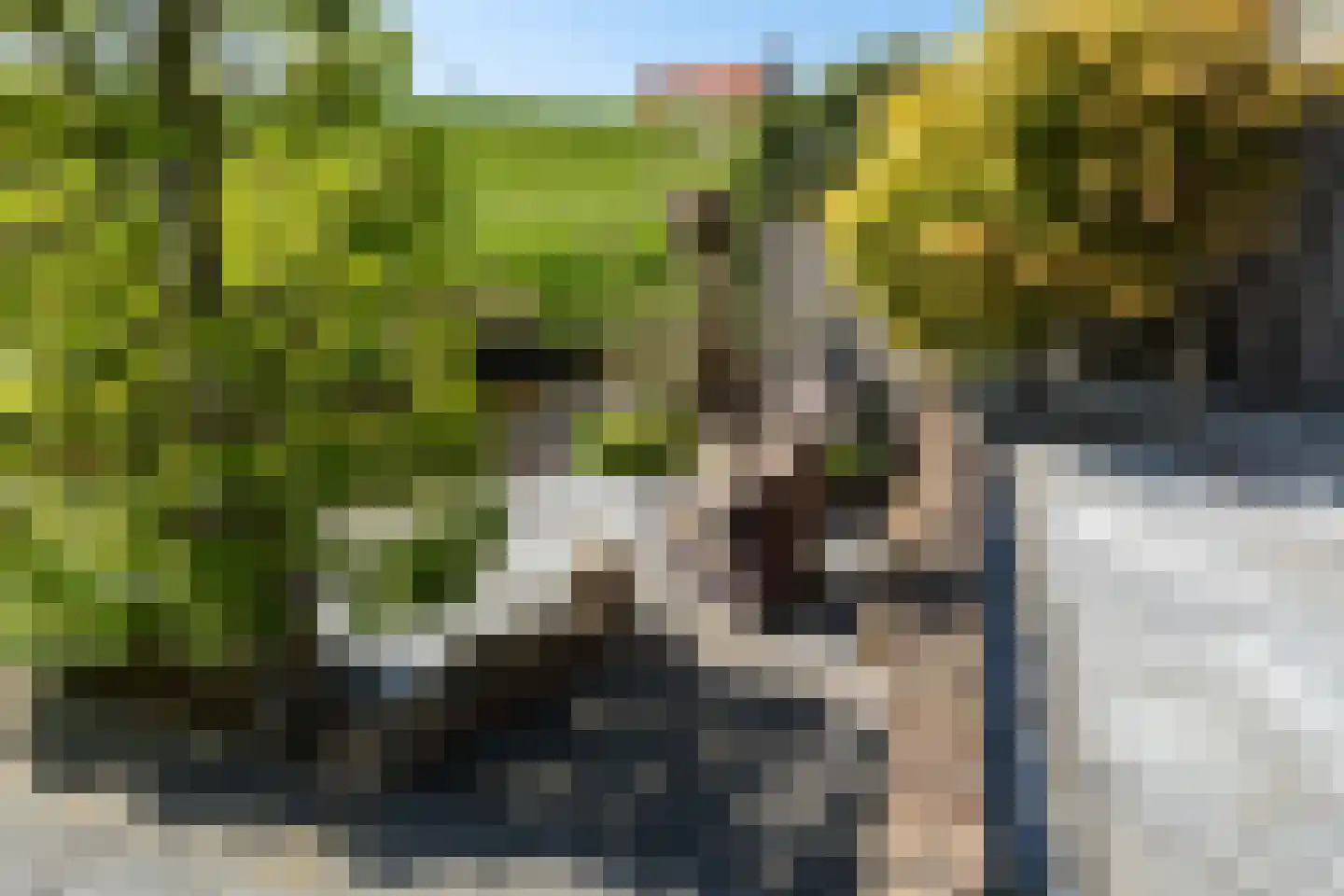 Andriessenlaan 40 's-Gravenzande thumbnail 32