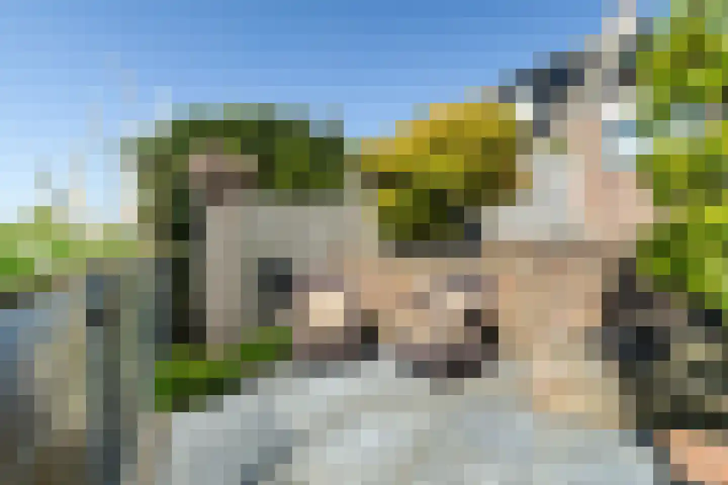 Andriessenlaan 40 's-Gravenzande thumbnail 33