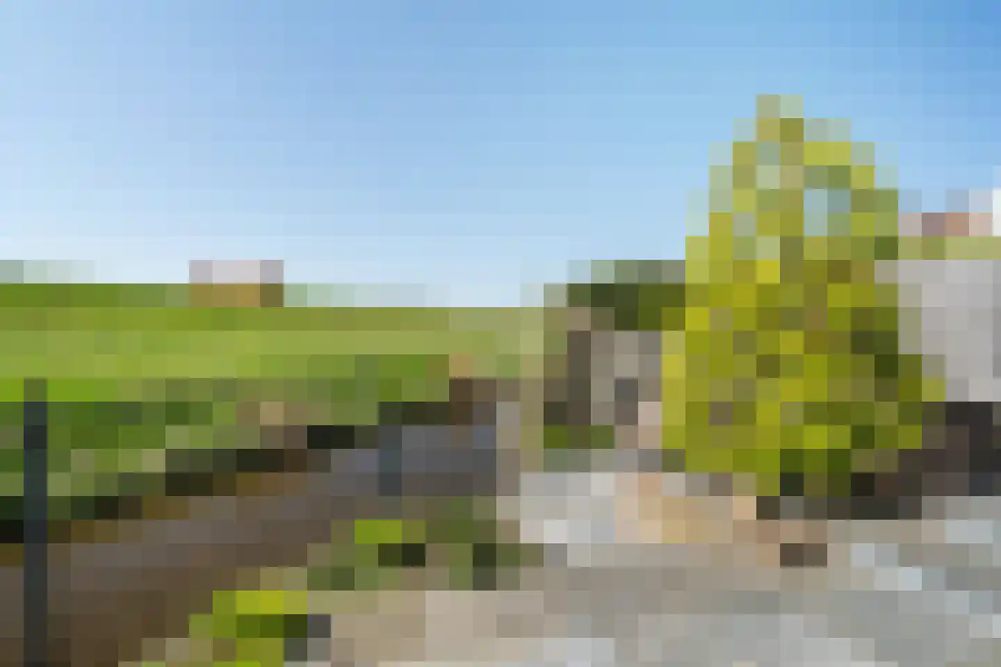 Andriessenlaan 40 's-Gravenzande thumbnail 36