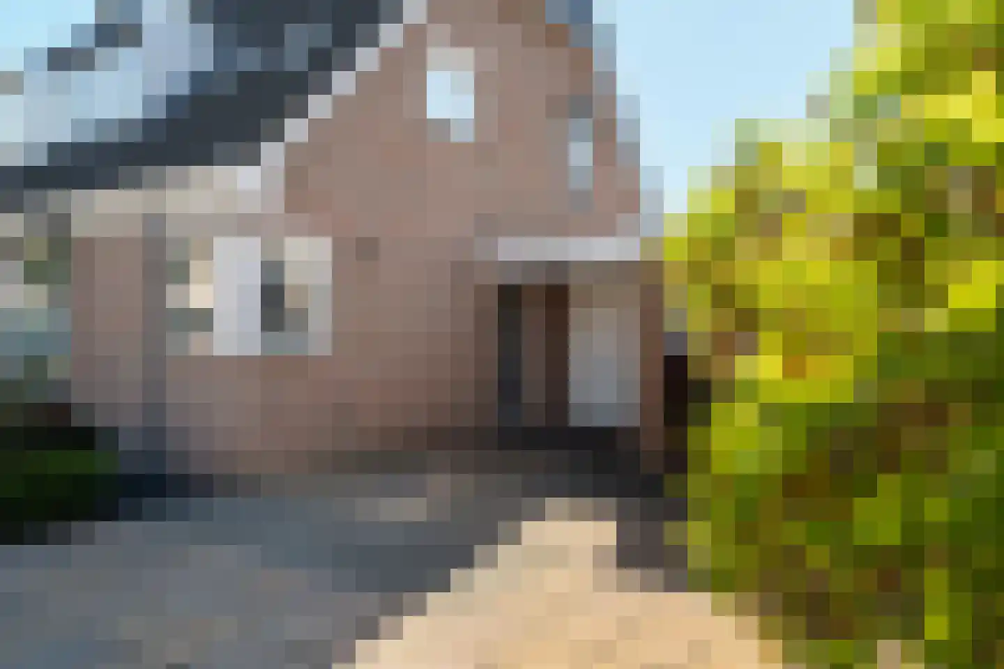 Andriessenlaan 40 's-Gravenzande thumbnail 8