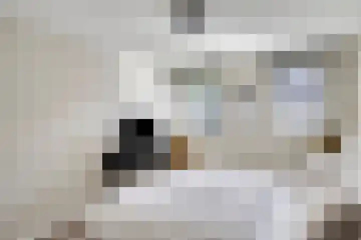 Andriessenstraat 2 Eindhoven thumbnail 19