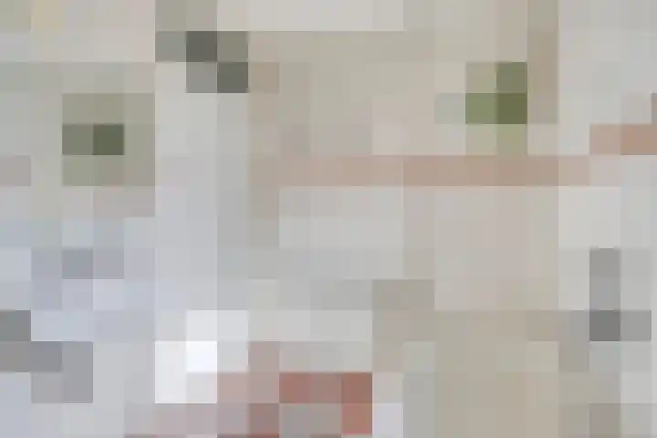 Andriessenstraat 2 Eindhoven thumbnail 23