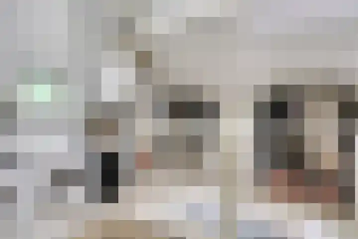 Andriessenstraat 2 Eindhoven thumbnail 24