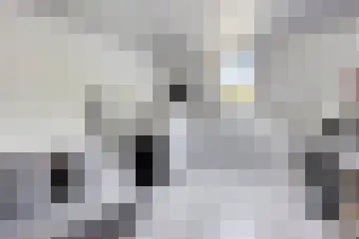 Andriessenstraat 2 Eindhoven thumbnail 25