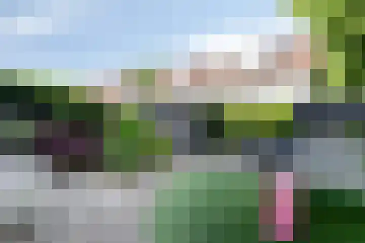 Andriessenstraat 2 Eindhoven thumbnail 29