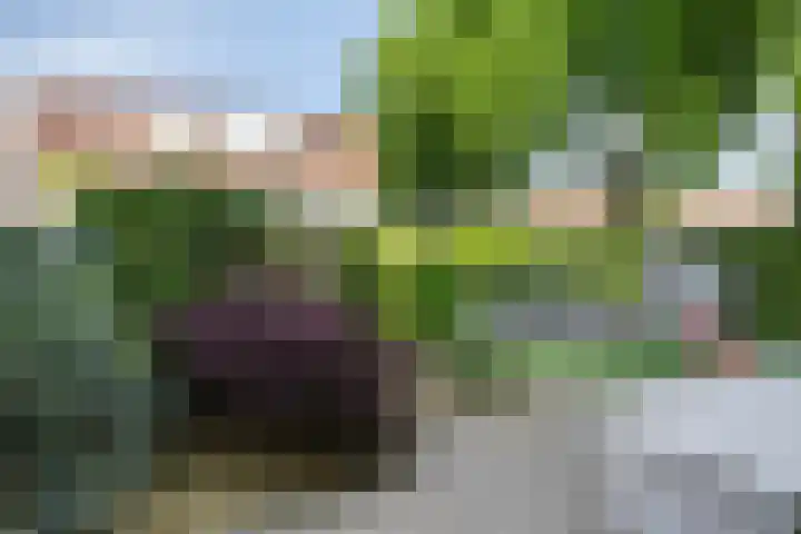 Andriessenstraat 2 Eindhoven thumbnail 30