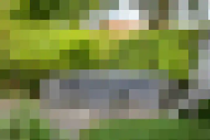 Andriessenstraat 2 Eindhoven thumbnail 31