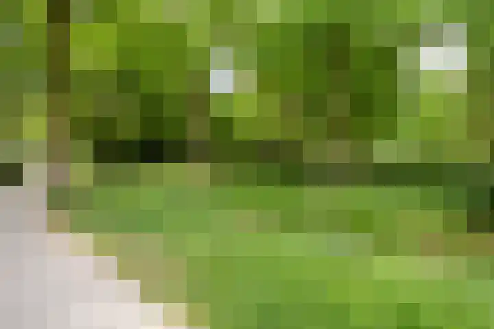 Andriessenstraat 2 Eindhoven thumbnail 34