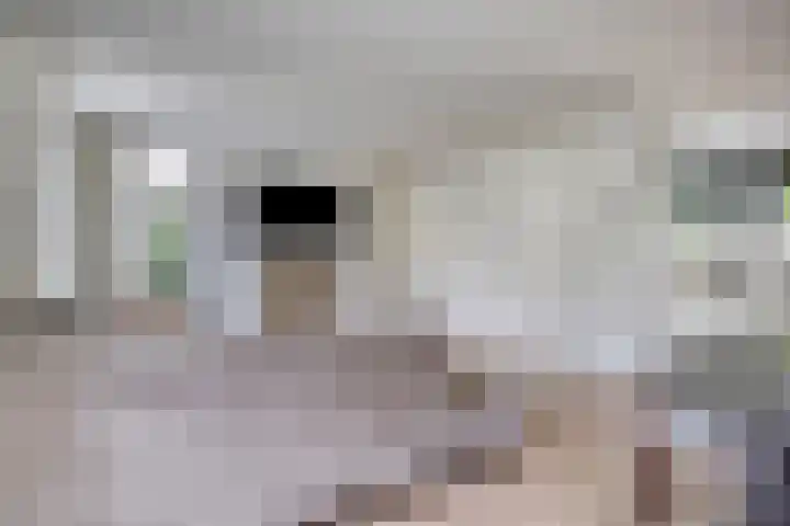 Andriessenstraat 2 Eindhoven thumbnail 9