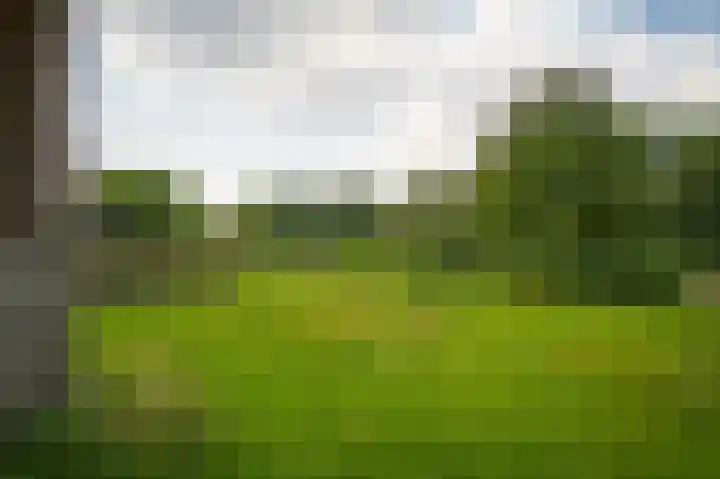 Andriëtte Peereboom 15 Giessen thumbnail 39