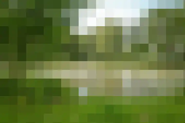 Andriëtte Peereboom 15 Giessen thumbnail 40
