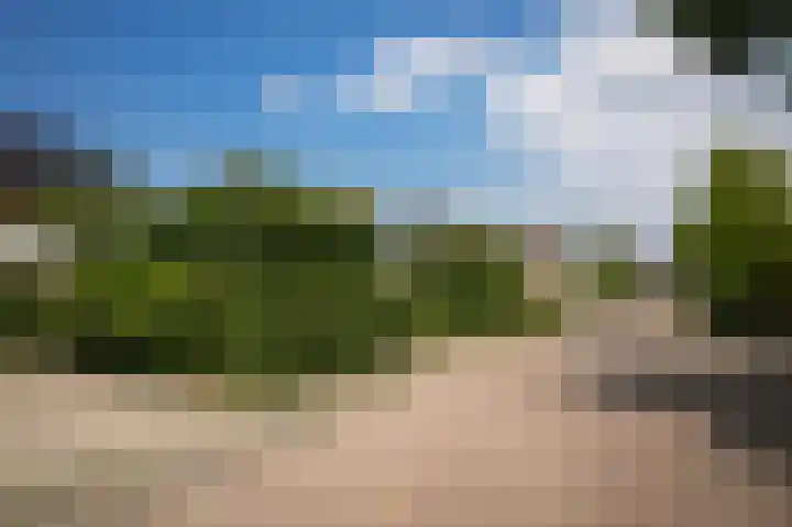 Andriëtte Peereboom 15 Giessen thumbnail 46