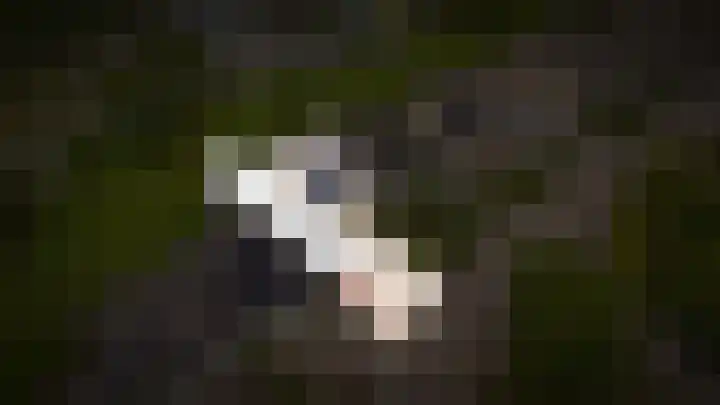 Andriëtte Peereboom 15 Giessen thumbnail 47
