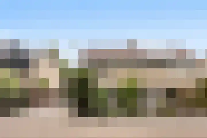 Andringasingel 17 Oentsjerk thumbnail 10