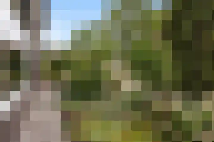Andringasingel 17 Oentsjerk thumbnail 11