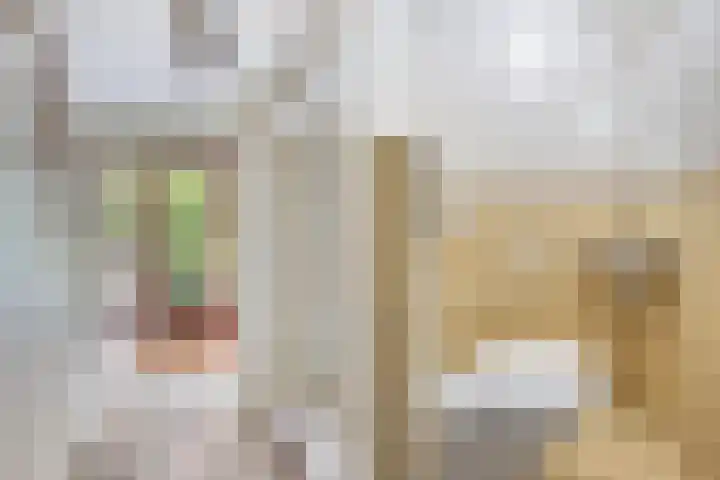 Andringasingel 17 Oentsjerk thumbnail 13