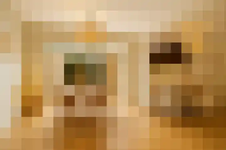 Andringasingel 17 Oentsjerk thumbnail 19