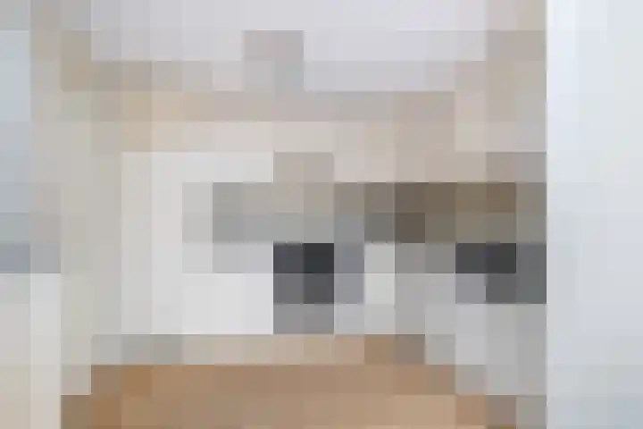 Andringasingel 17 Oentsjerk thumbnail 20