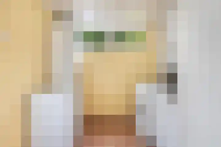 Andringasingel 17 Oentsjerk thumbnail 26