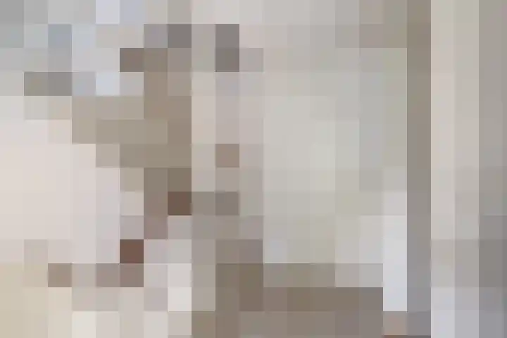 Andringasingel 17 Oentsjerk thumbnail 28
