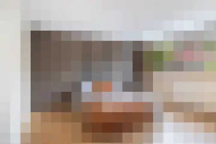 Andringasingel 17 Oentsjerk thumbnail 29