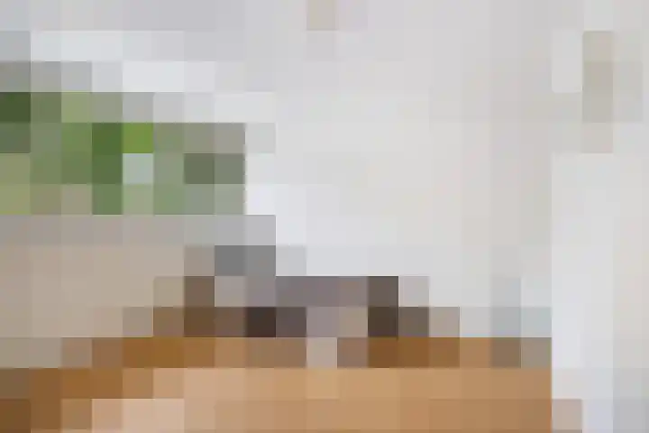 Andringasingel 17 Oentsjerk thumbnail 31