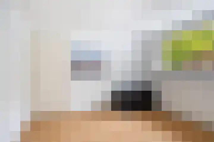 Andringasingel 17 Oentsjerk thumbnail 32