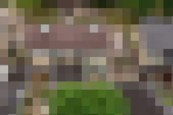 Andringasingel 17 Oentsjerk thumbnail 39