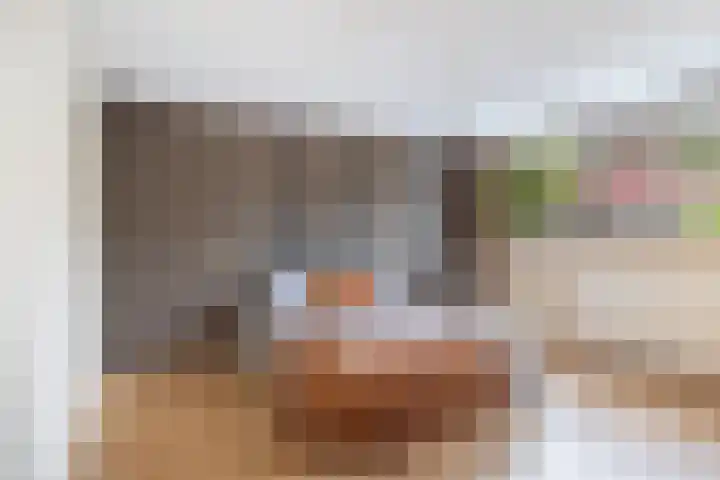 Andringasingel 17 Oentsjerk thumbnail 4